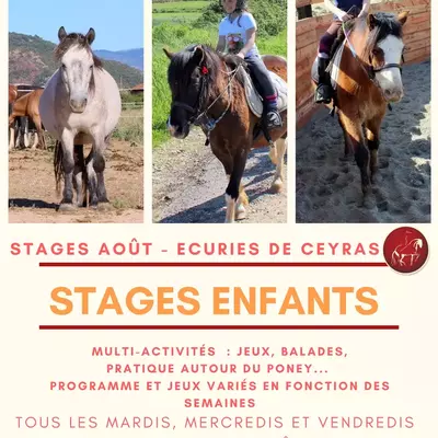 Stages août poney